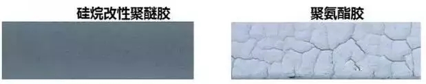 1.webp.jpg